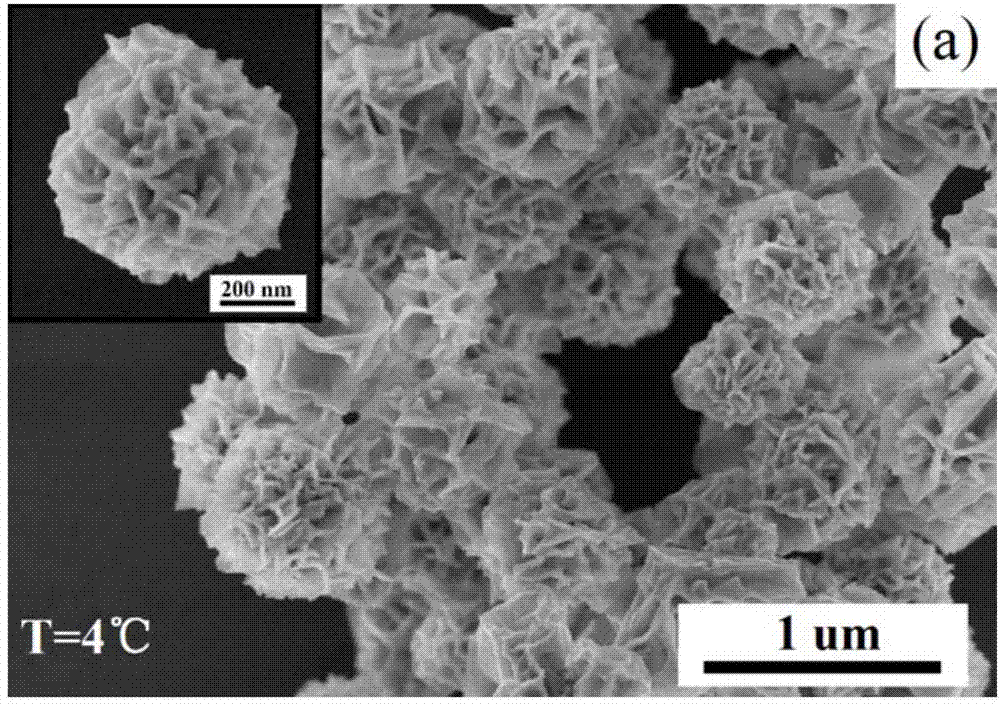Hydrangea-shaped gold nanoparticle and preparation method thereof