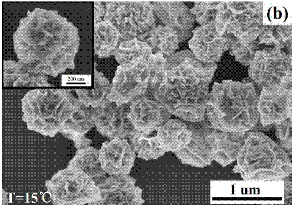 Hydrangea-shaped gold nanoparticle and preparation method thereof