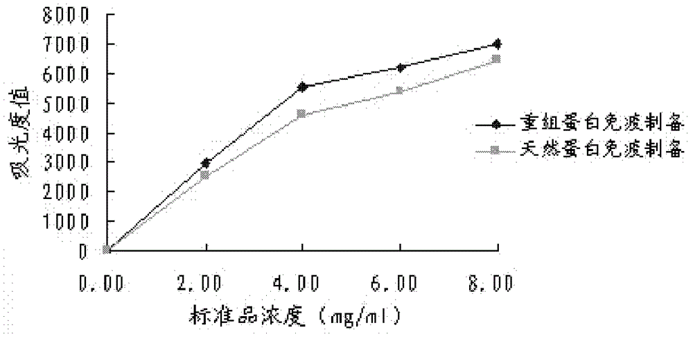 A kind of recombinant human cystatin c protein with natural activity and its preparation method