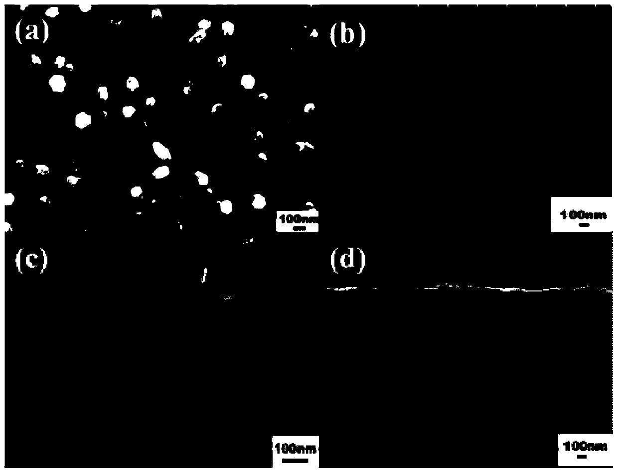 Based on zno nanorods/ch  <sub>3</sub> no  <sub>3</sub> pbi  <sub>3</sub> /moo  <sub>3</sub> Structured self-driven photodetectors and methods of making the same