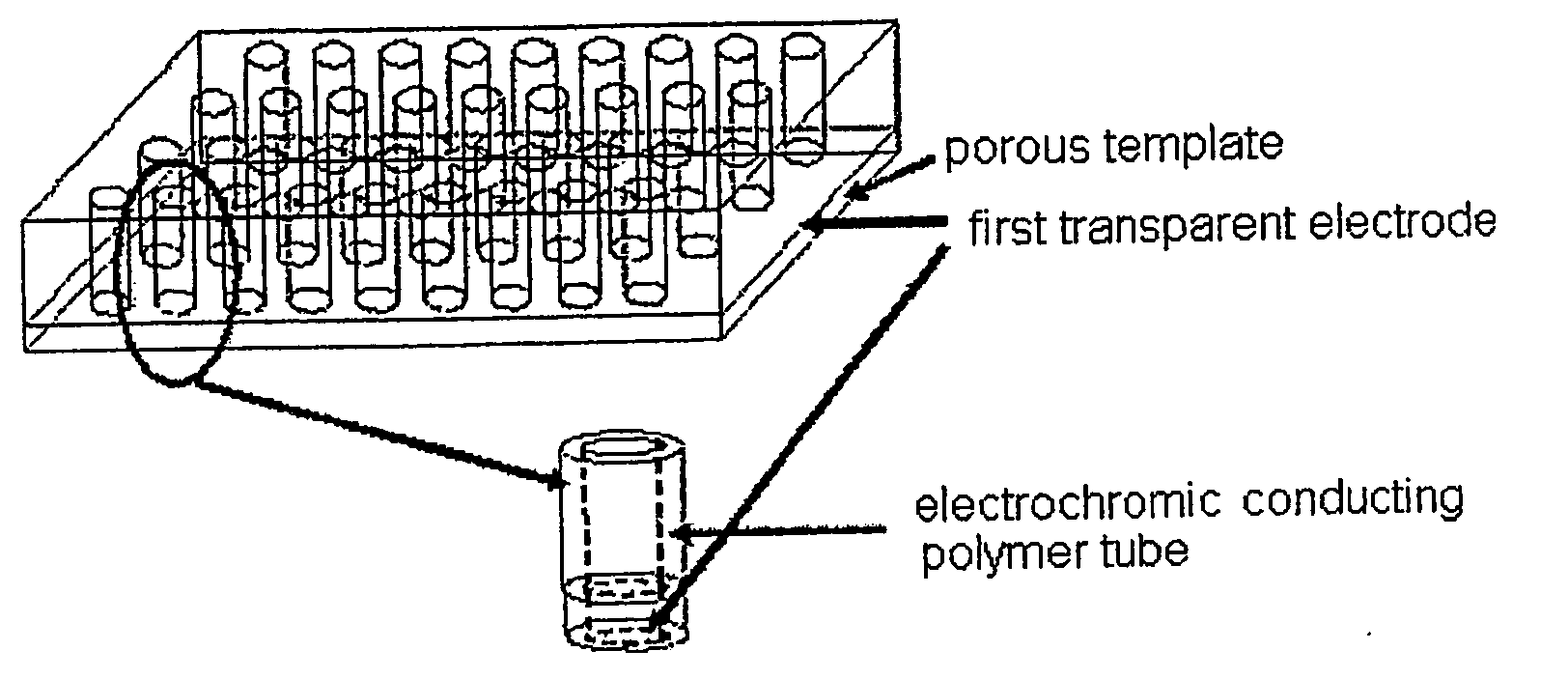 Electropolymerization method for preparing nano-tube type conducting polymer using porous template, method for preparing electrochromic device, and electrochromic device prepared therefrom