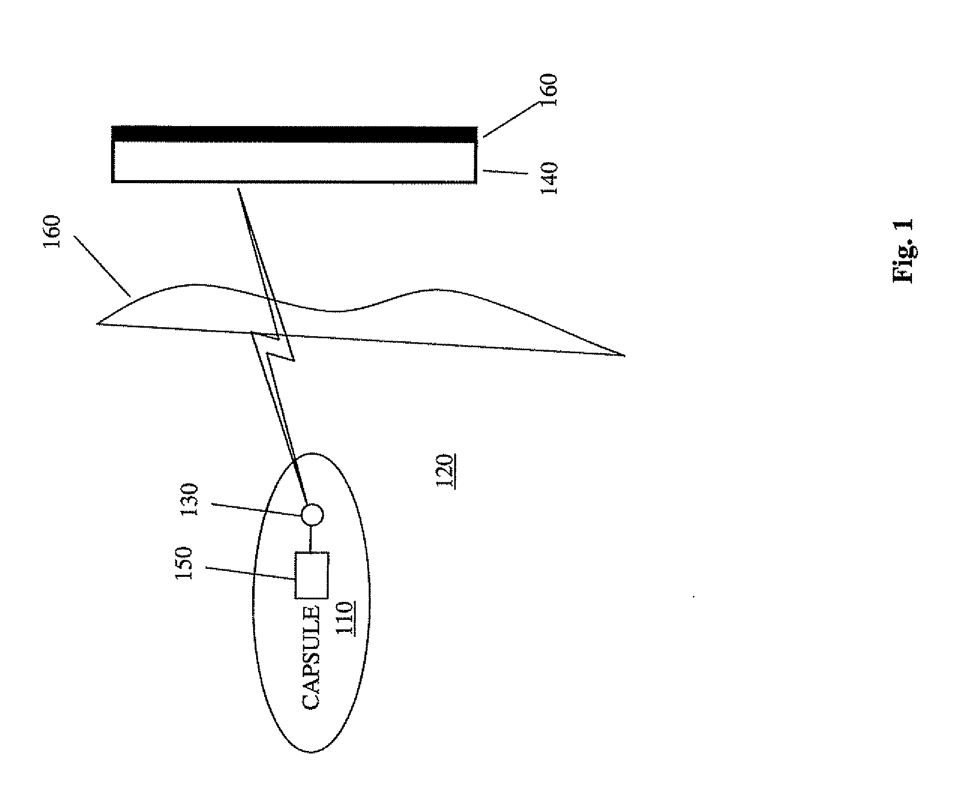  dual polarized dipole wearable antenna