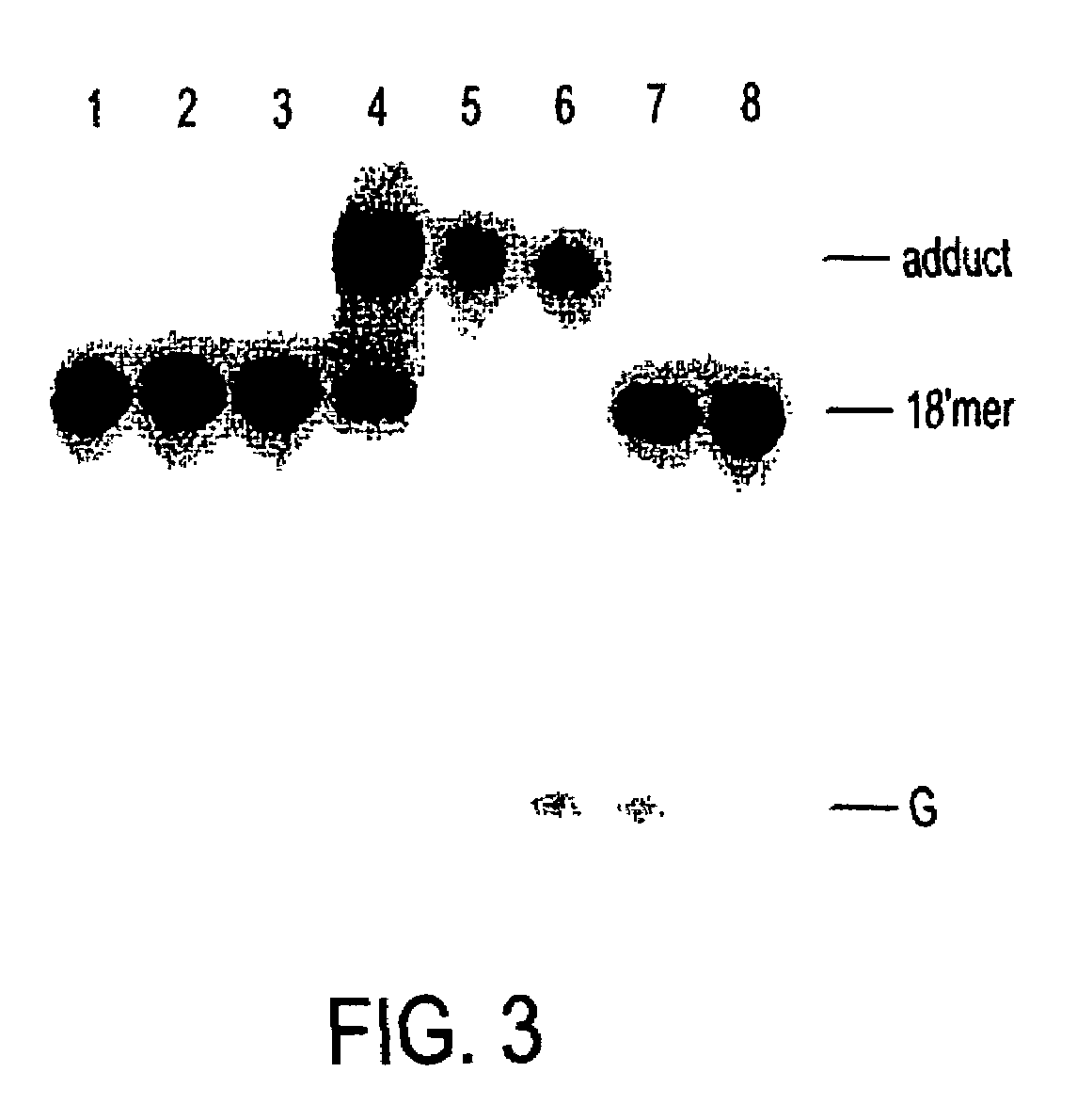 Nickel-based reagents for detecting DNA and DNA-protein contacts