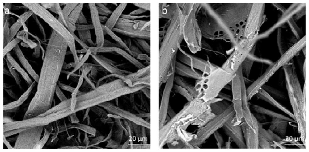 A kind of preparation method of biomass-based temperature control material and the temperature control material prepared