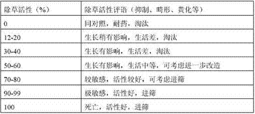Novel herbicidal active pyridine salicylic acid compound, prepare method thereof, and purpose of being herbicidal