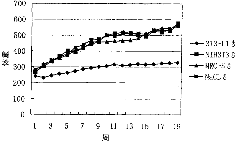 Preadipocyte heterologous vaccine and preparation method and application thereof