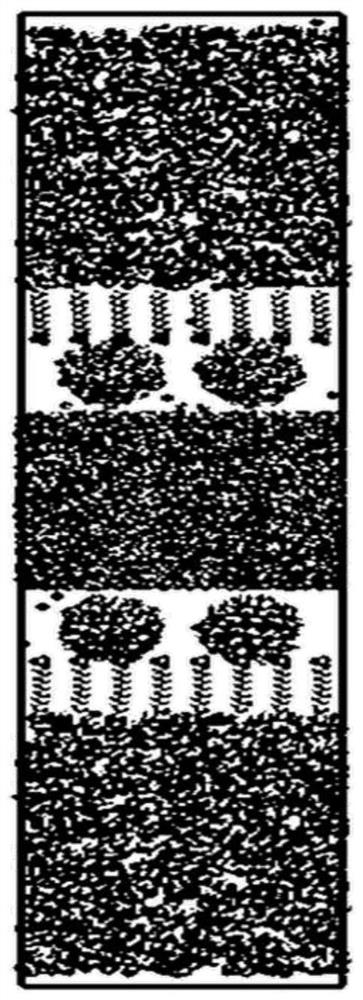 Establishment method of foam system microscopic model