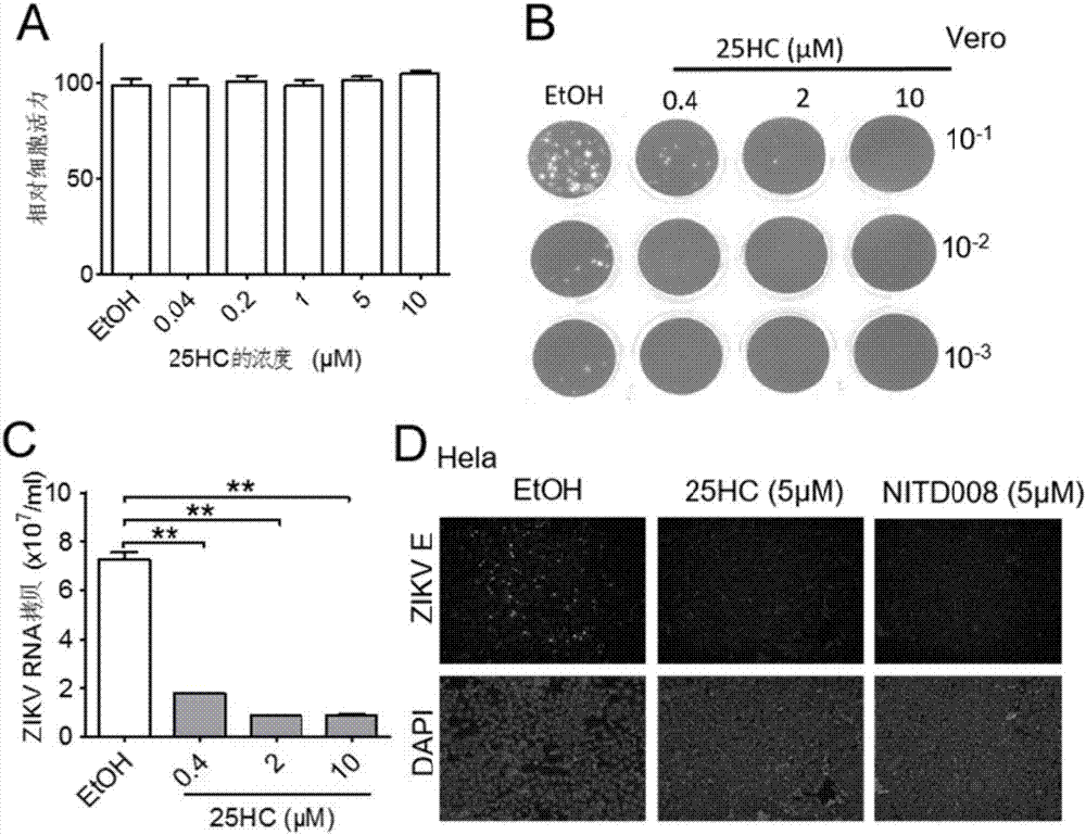 Application of 25-hydroxycholesterol in inhibiting flaviviruses