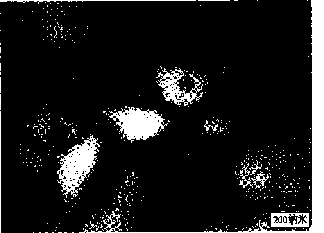 Preparation method of calcium sulfate nanometer material