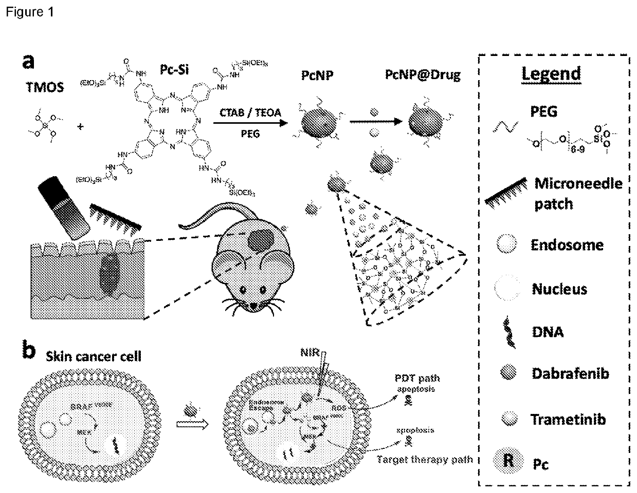 Photodynamically active organosilica nanoparticles and medical uses thereof