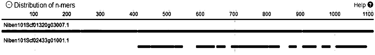 Use of Atg5 transient silent vector in relieving organelle localization protein degradation