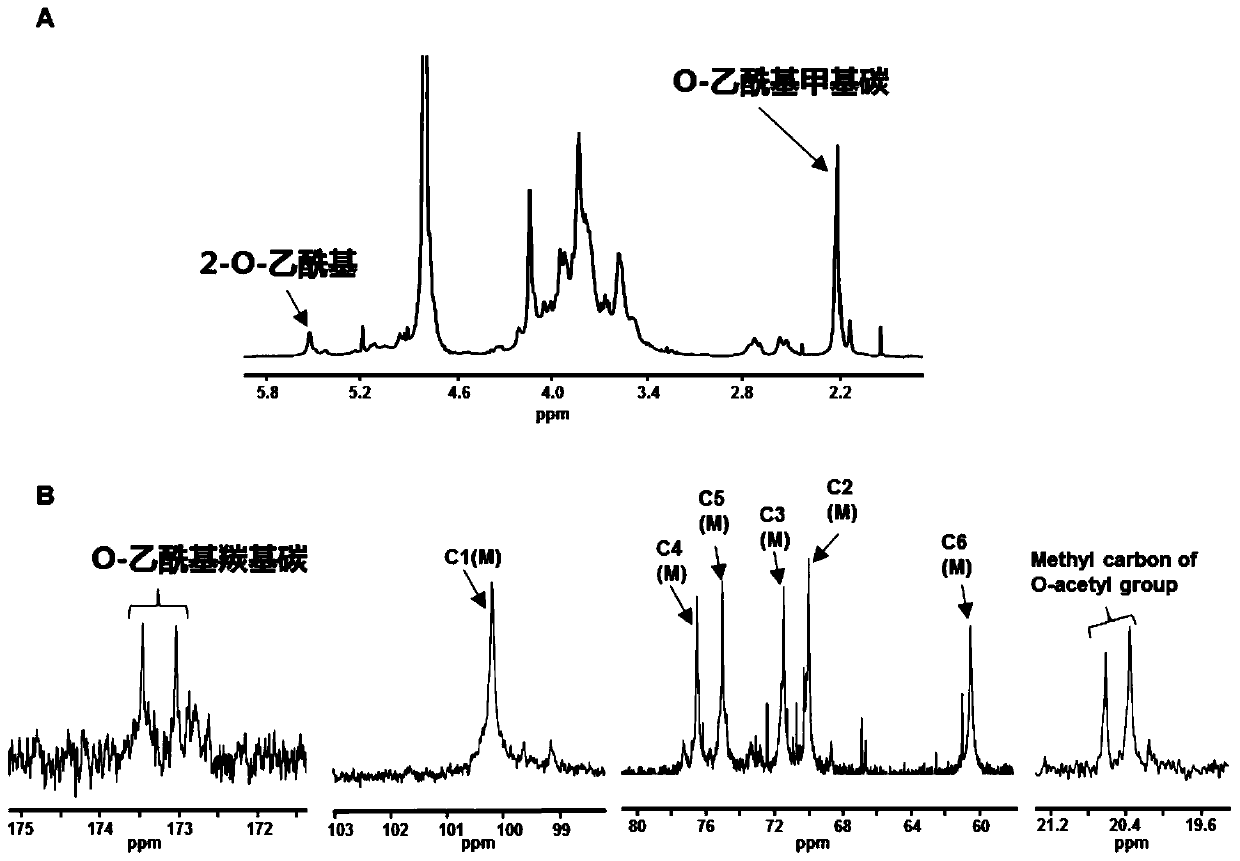 A kind of dendrobium dendrobii polysaccharide and its preparation and application