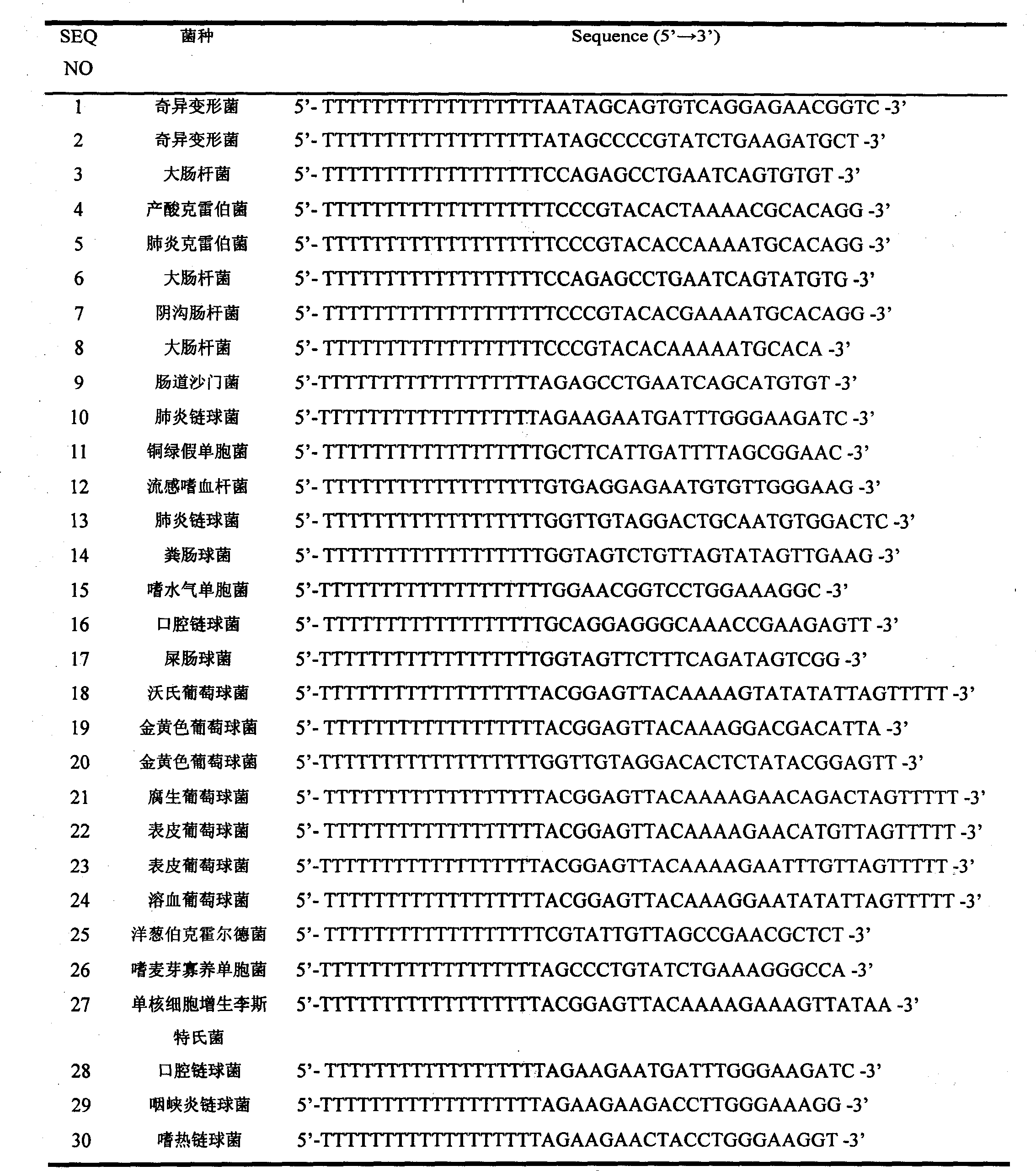 Method for identifying 28 frequent phathogenic bacteria for clinical bacteremia