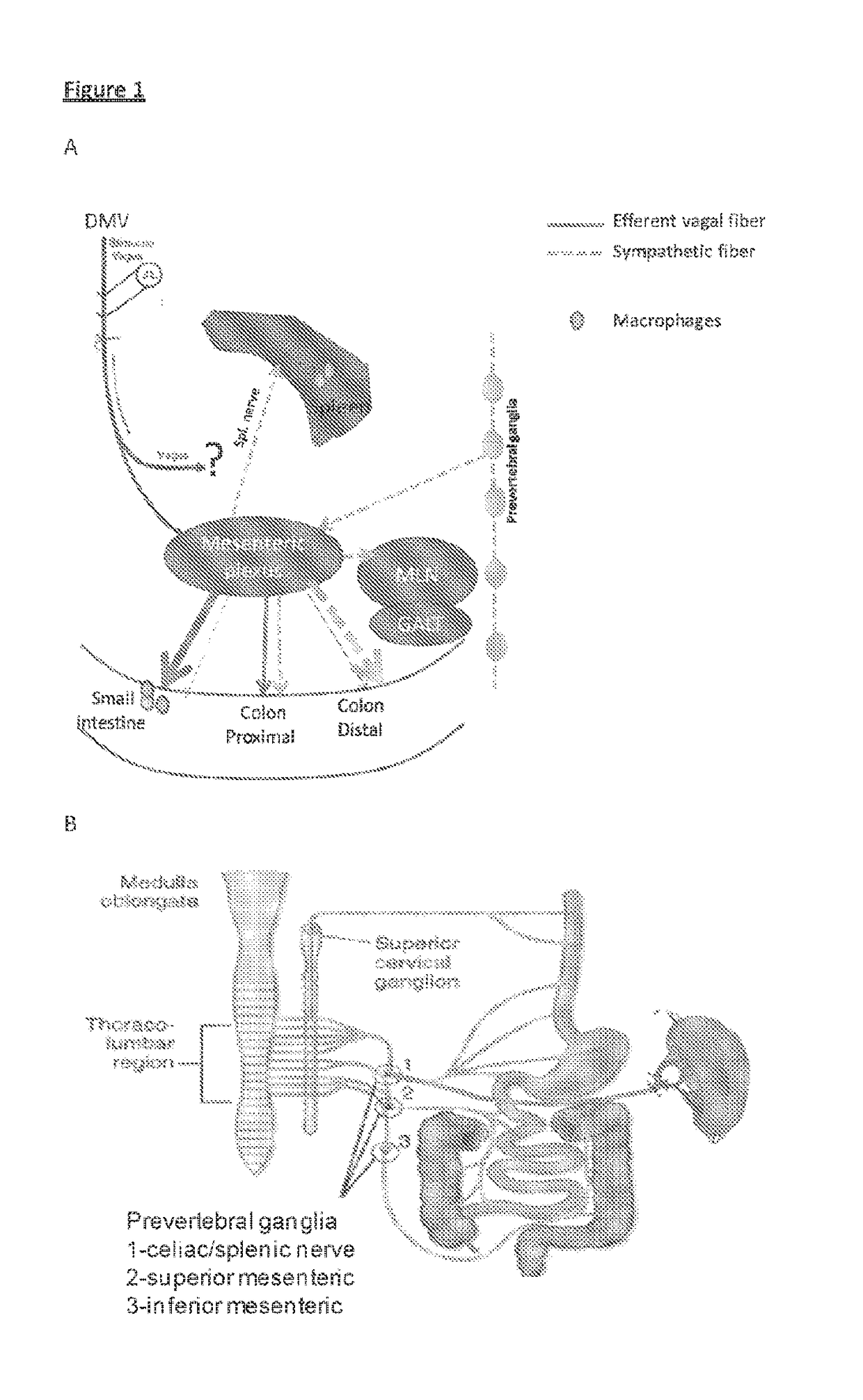Neuromodulation device