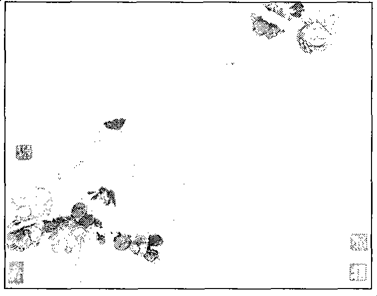 Method for automatically extracting stamp image from Chinese painting and calligraphy