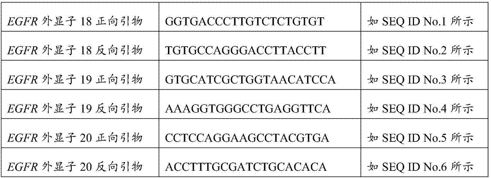 Specific primer for rapidly screening EGFR gene exon 18-21 mutation and its application