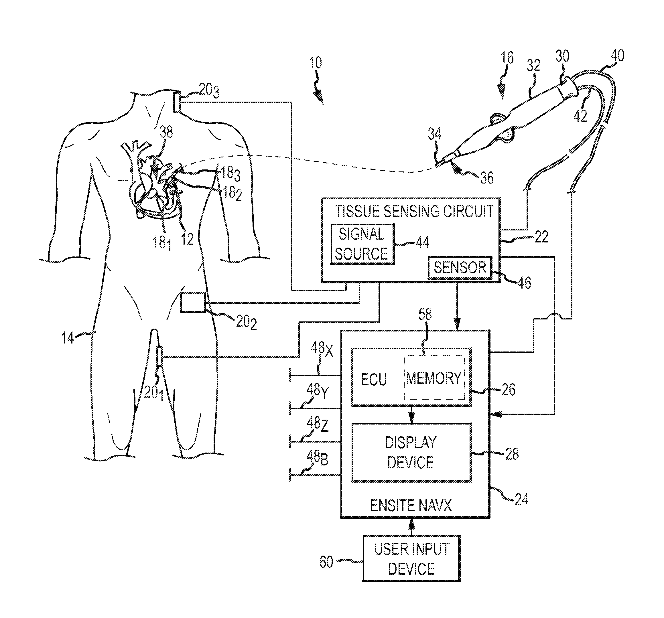 System and method for determining tissue type and mapping tissue morphology