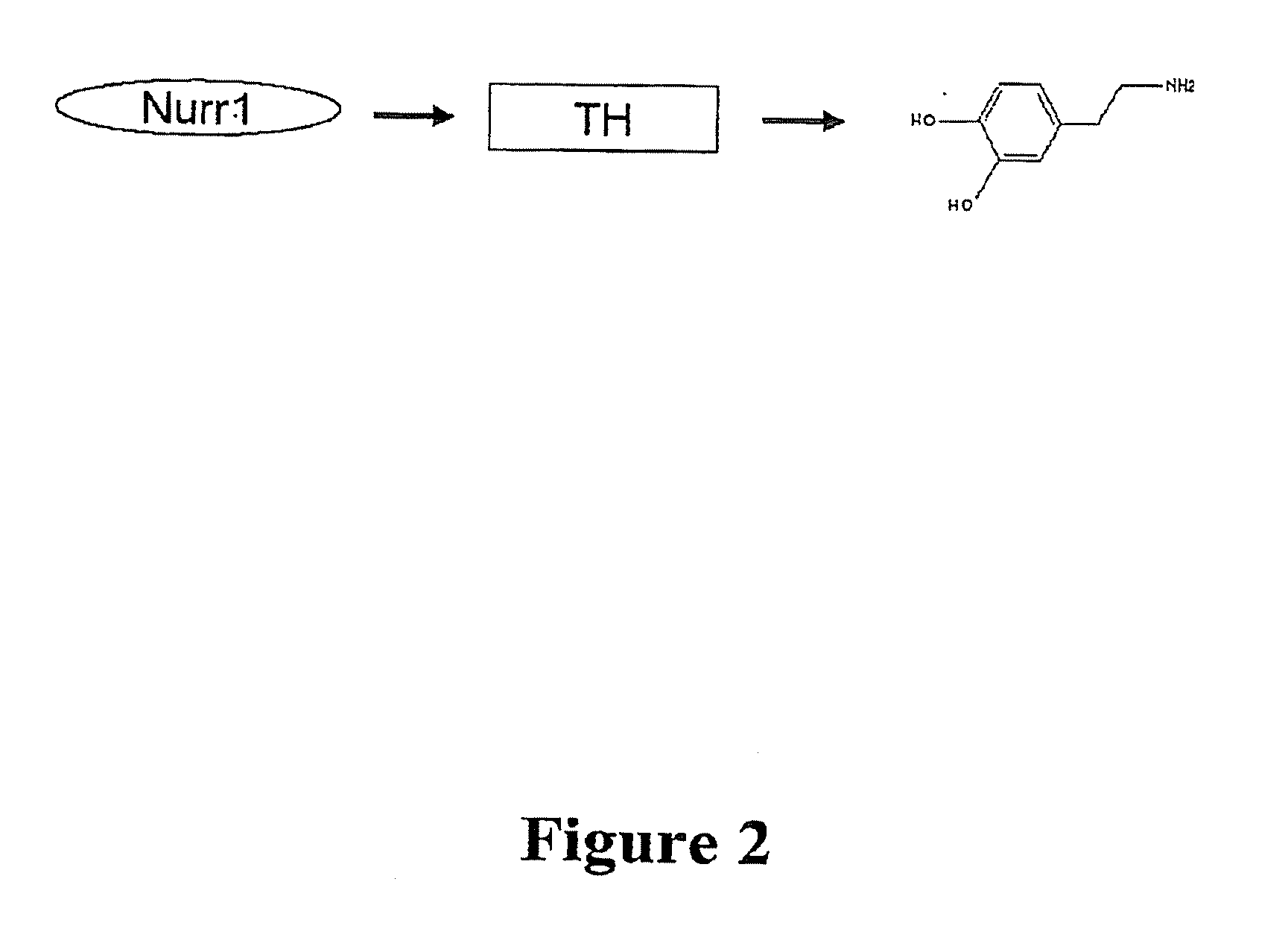 Methods and compositions for the treatment of parkinson's disease