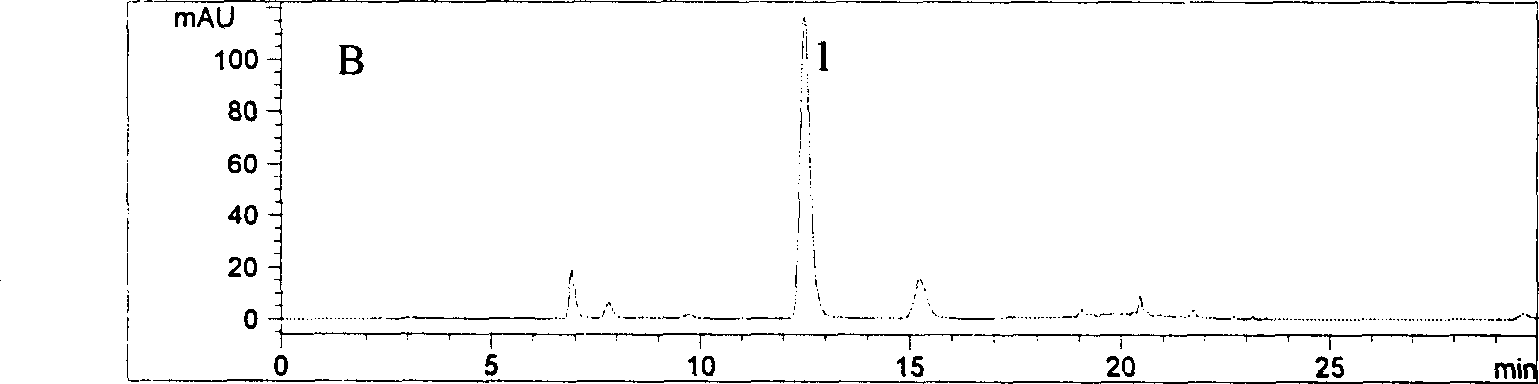 Method for extracting compound of phenolic acid from leaves of woodbind