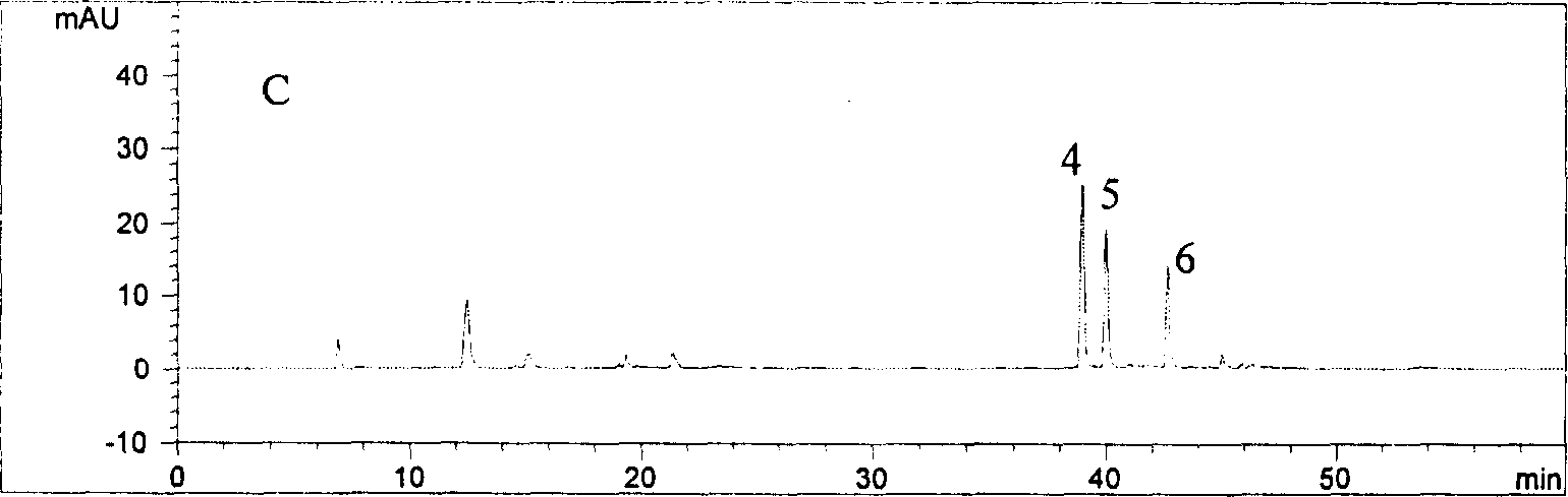 Method for extracting compound of phenolic acid from leaves of woodbind