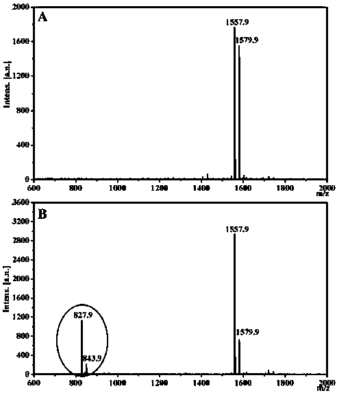 A kind of enzyme-responsive self-assembly peptide and its application