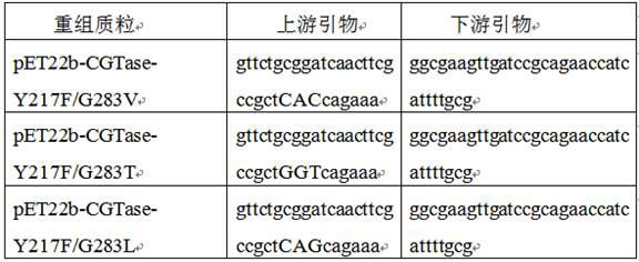 Cyclodextrin glycosyltransferase mutant, coding gene and application of cyclodextrin glycosyltransferase mutant