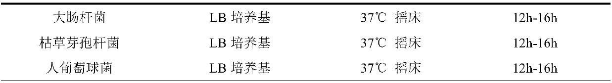 Method for enhancing efficacy of enzyme using lactobacillus bulgaricus