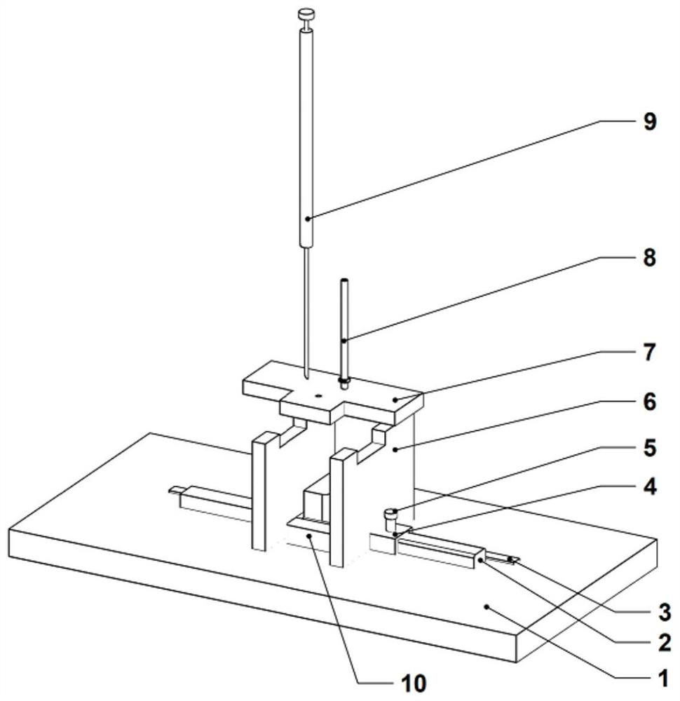 Poultry brain injection experimental device