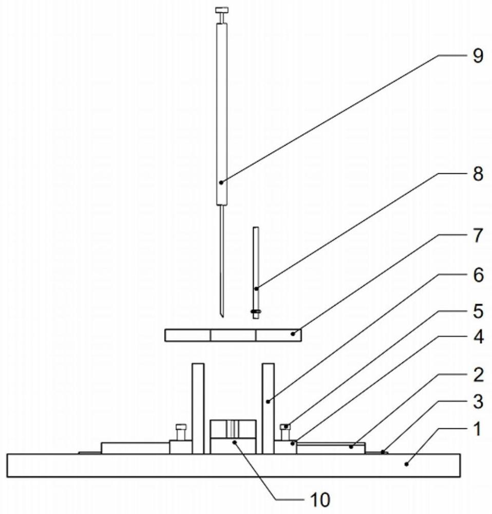 Poultry brain injection experimental device