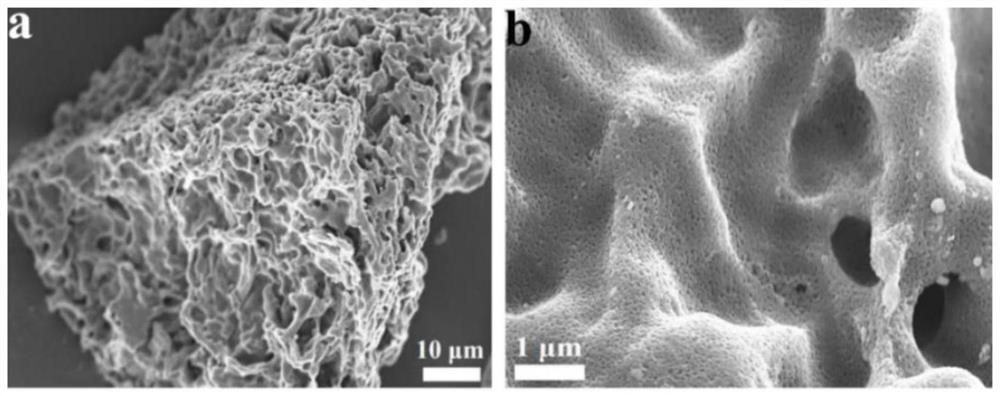 Biomass porous carbon nanofoam as well as preparation method and application thereof