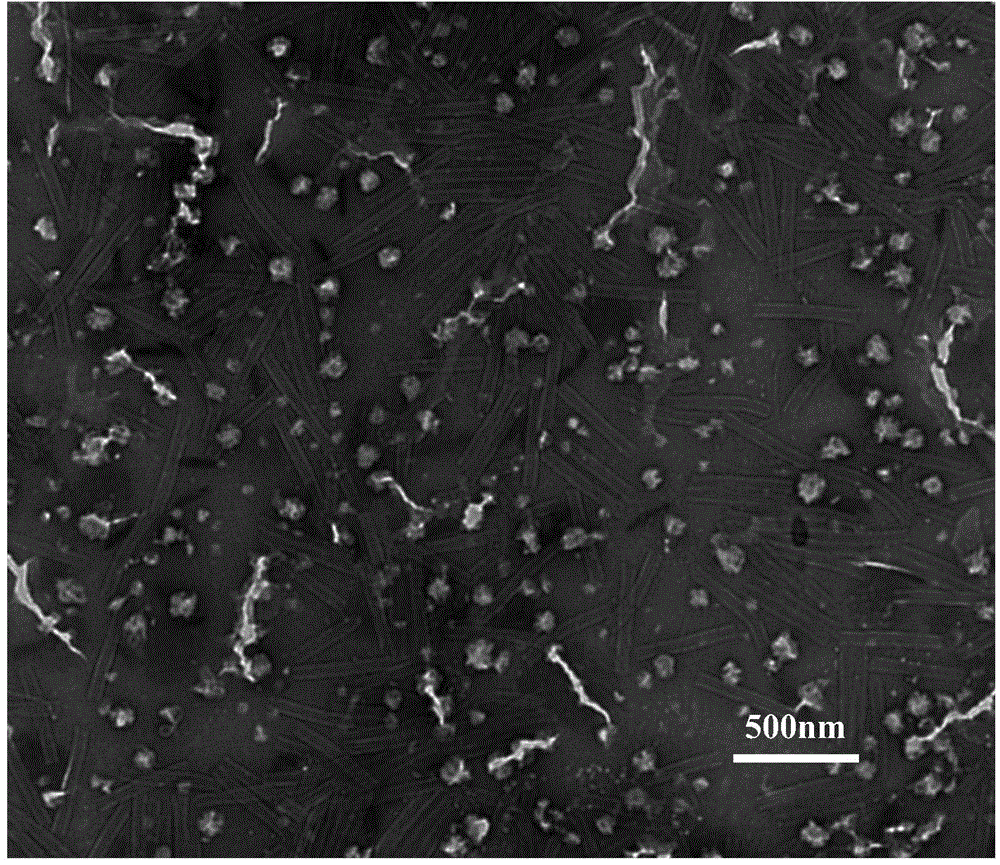 Method for preparing precious metal palladium nanorod by means of cotton bollworm baculovirus nucleocapsid