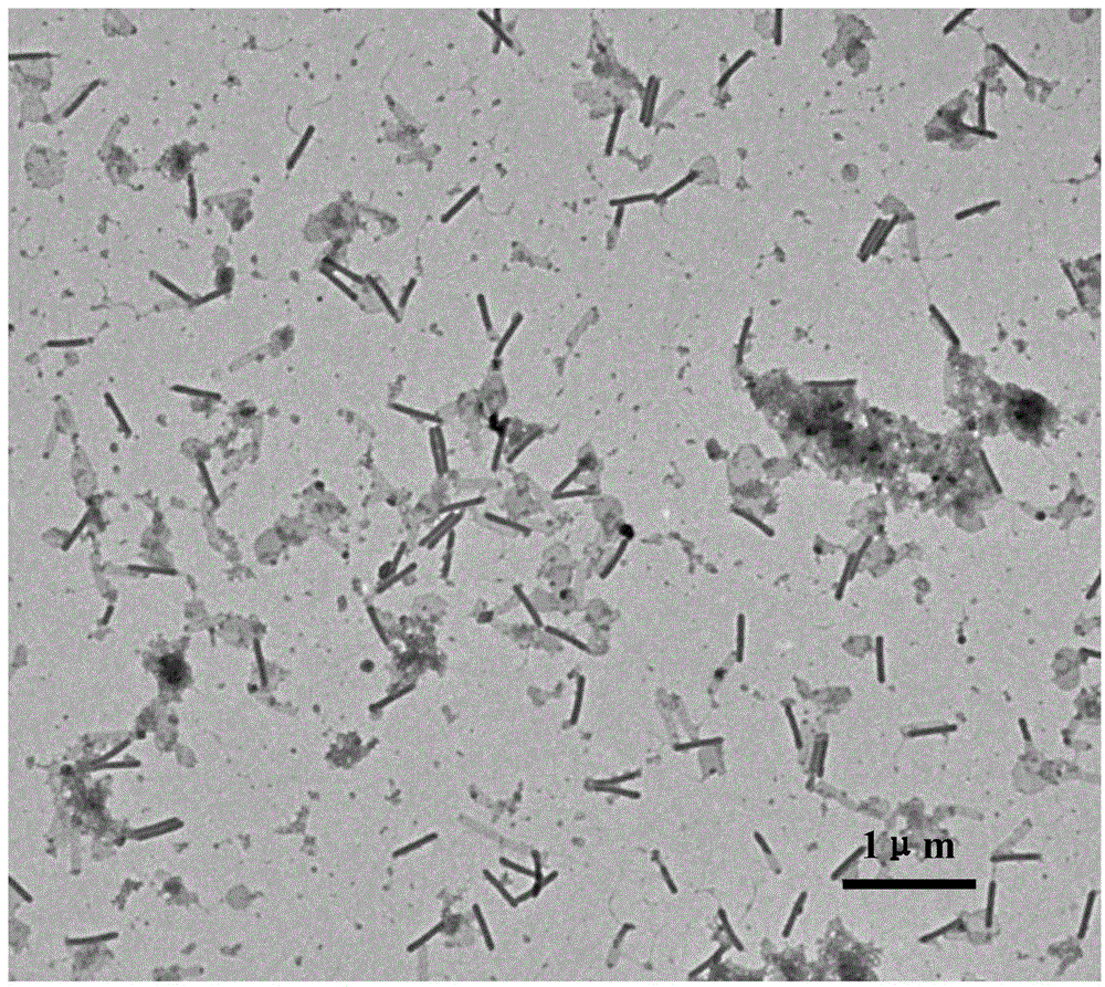 Method for preparing precious metal palladium nanorod by means of cotton bollworm baculovirus nucleocapsid