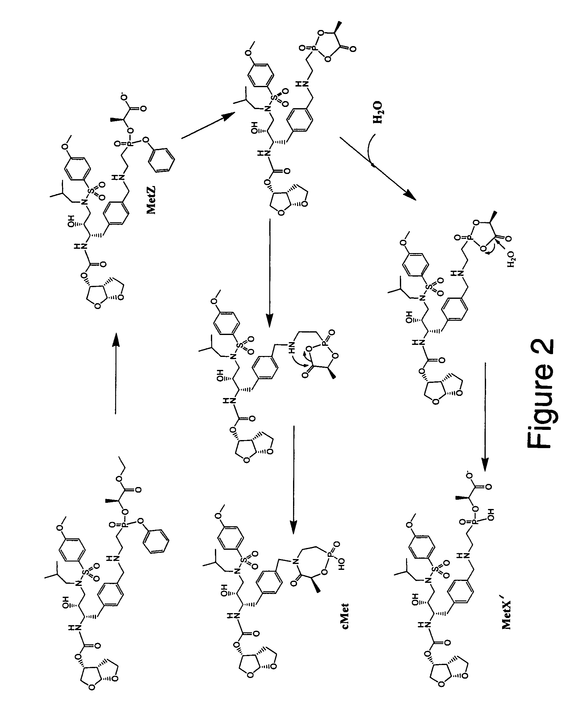 Methods and compositions for identifying therapeutic compounds with GS-9005 ester hydrolase A