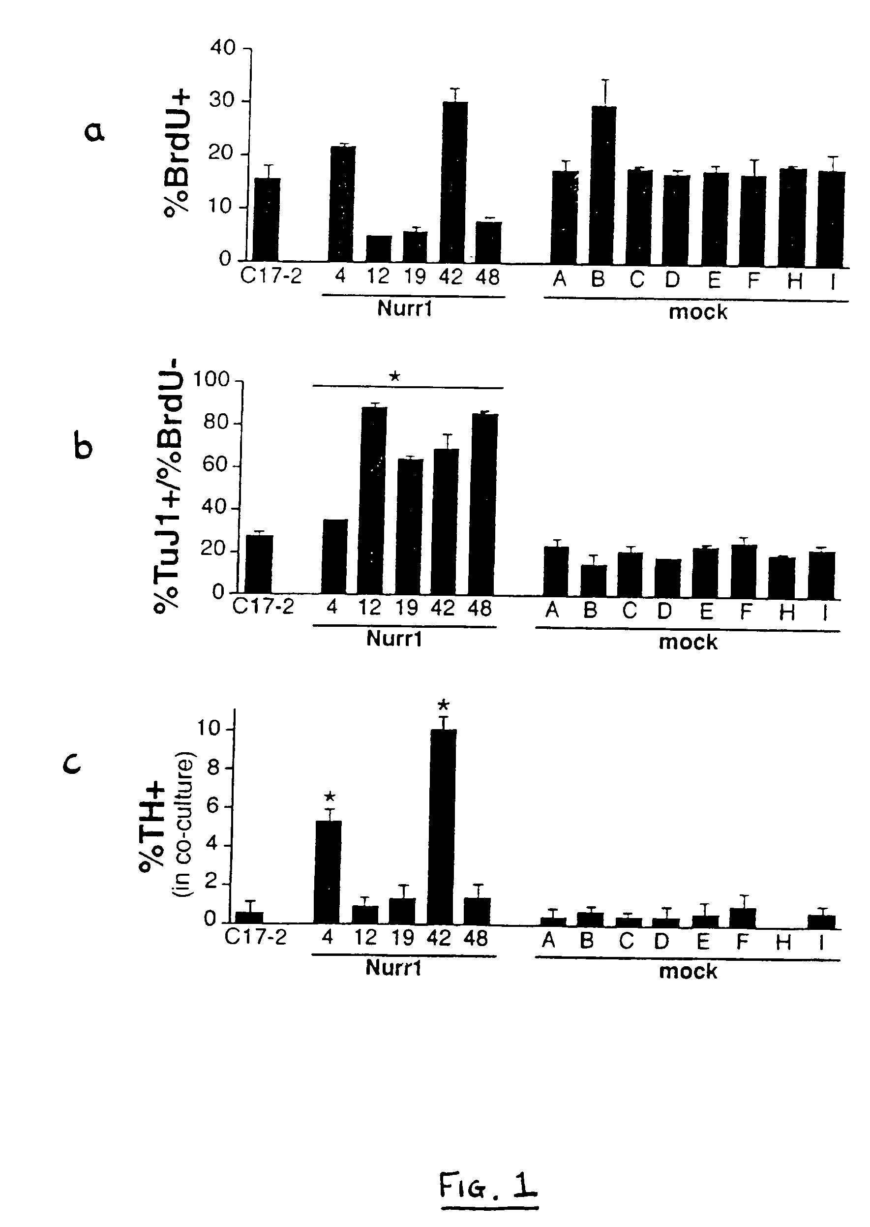 Nurr-1 induction of a dopaminergic neuronal fate in a neural stem cell or neural progenitor cell in vitro