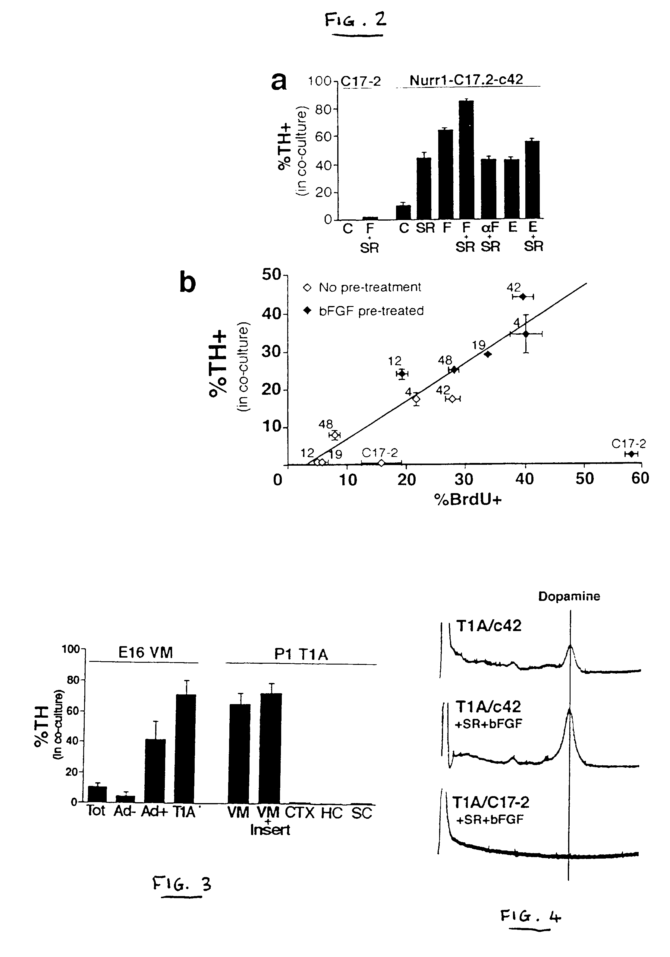 Nurr-1 induction of a dopaminergic neuronal fate in a neural stem cell or neural progenitor cell in vitro