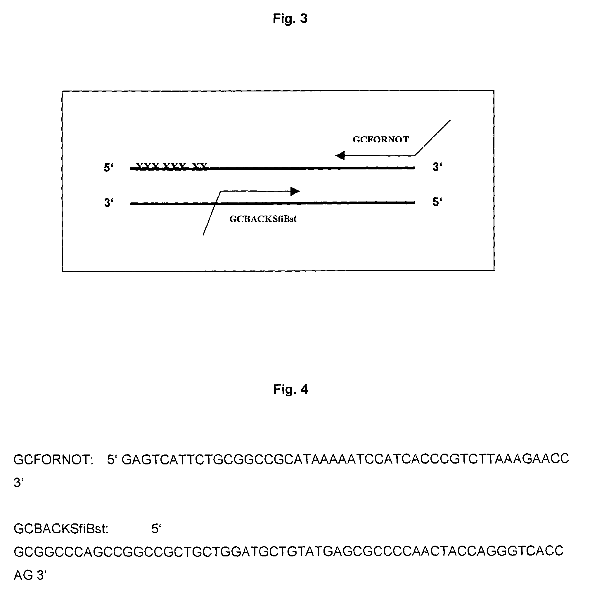 Fabrication of beta-pleated sheet proteins with specific binding properties