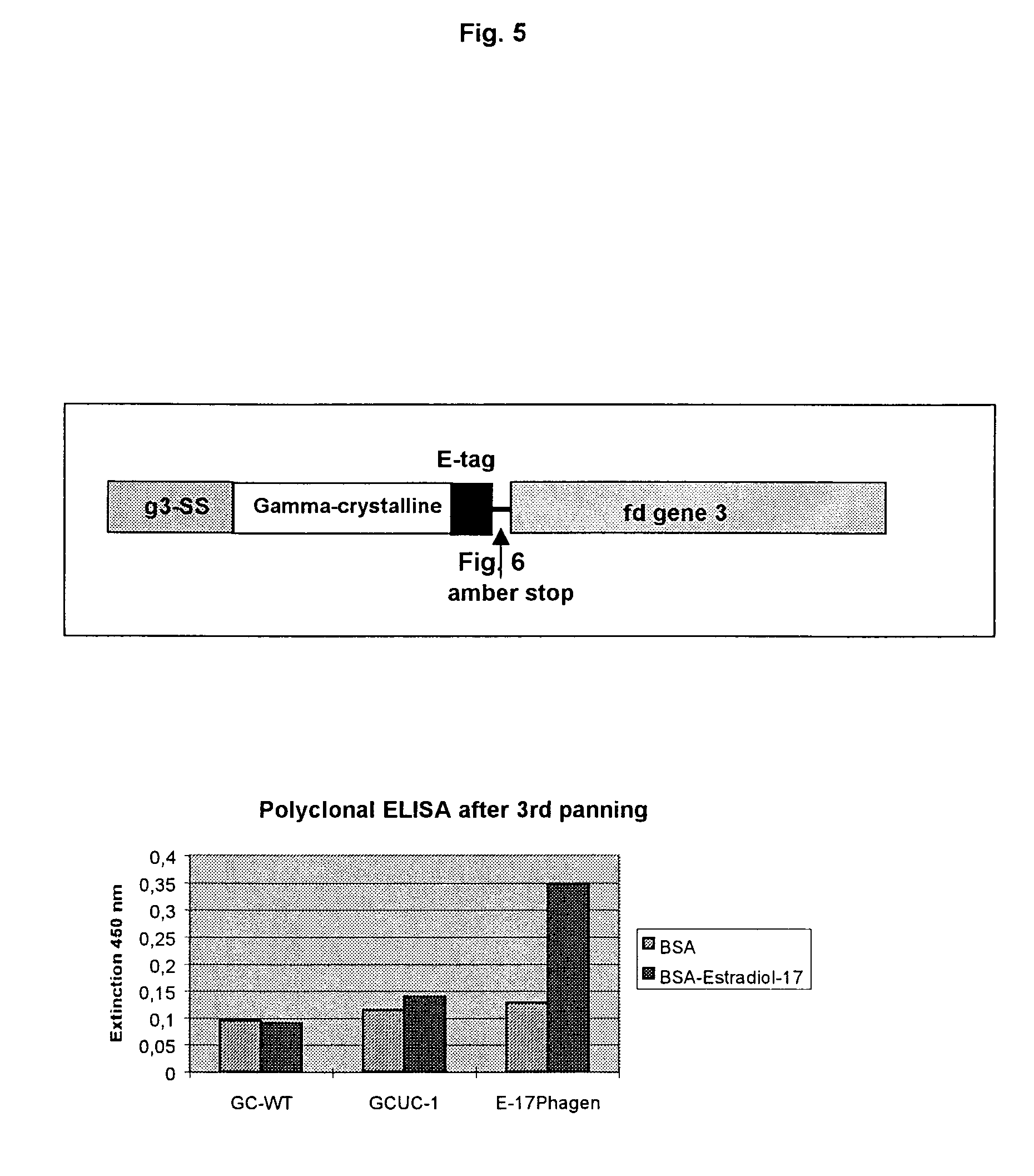 Fabrication of beta-pleated sheet proteins with specific binding properties
