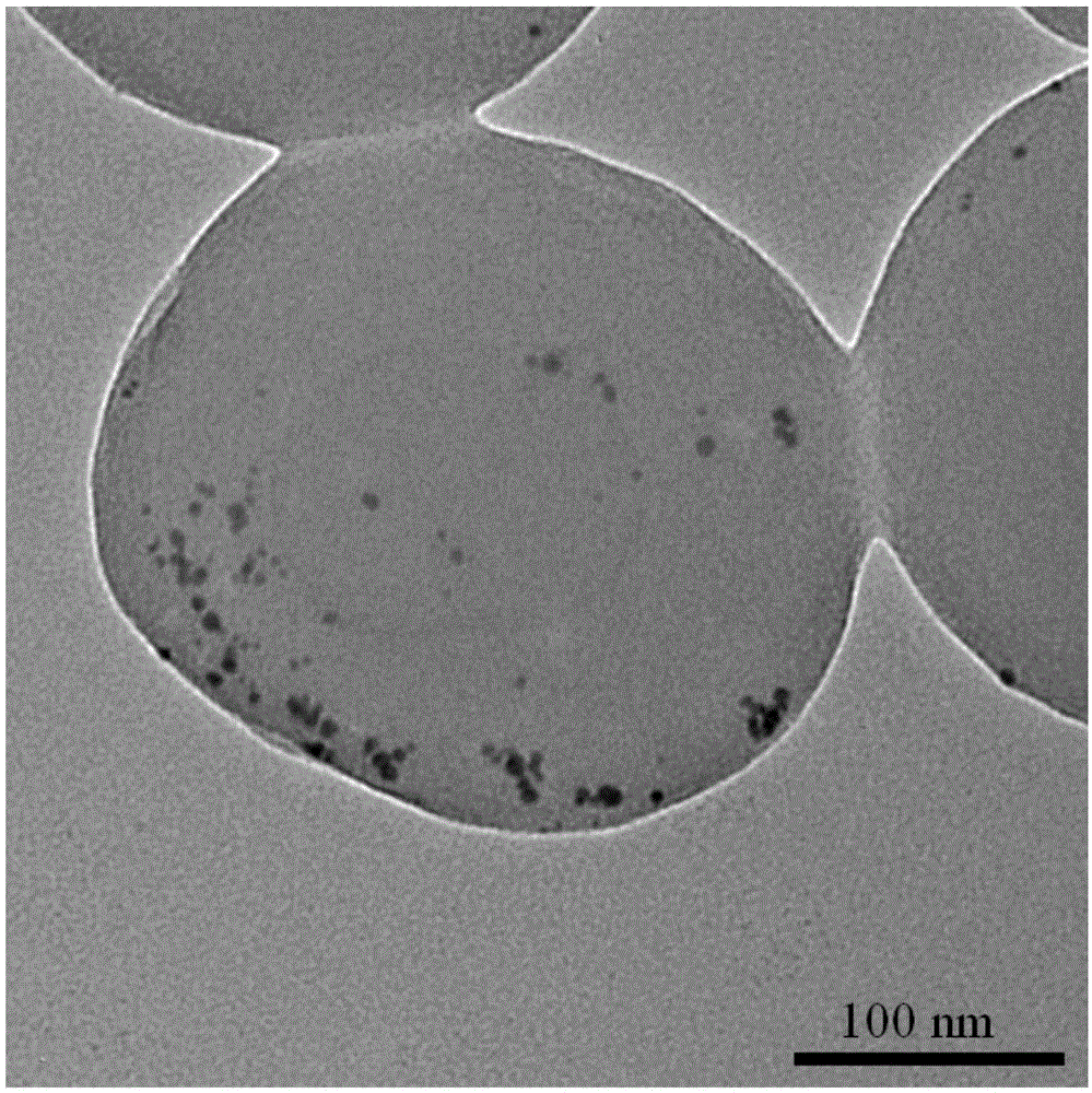 Conductive coating based on noble-metal-loaded polymer nanoparticle and preparation method of conductive coating