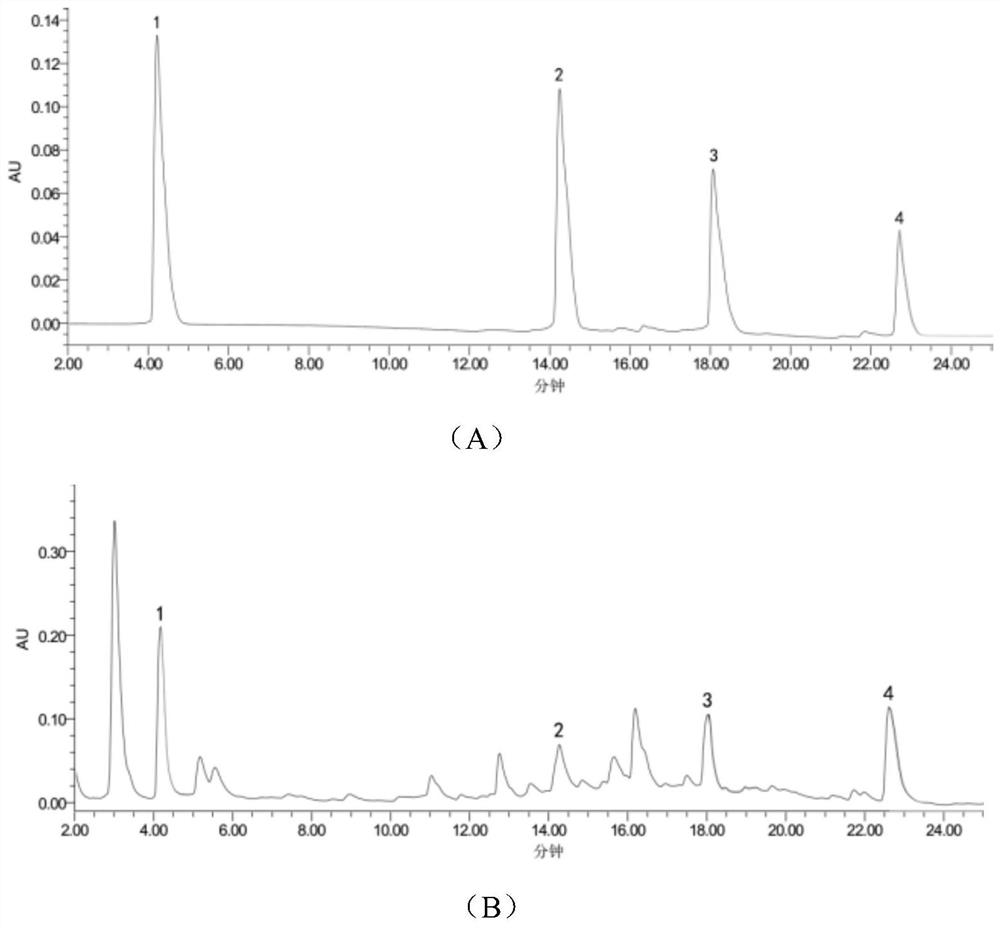 Whitening and spot-fading compound preparation with fructus phyllanthi fresh fruit pulp as main raw material and preparation method of whitening and spot-fading compound preparation