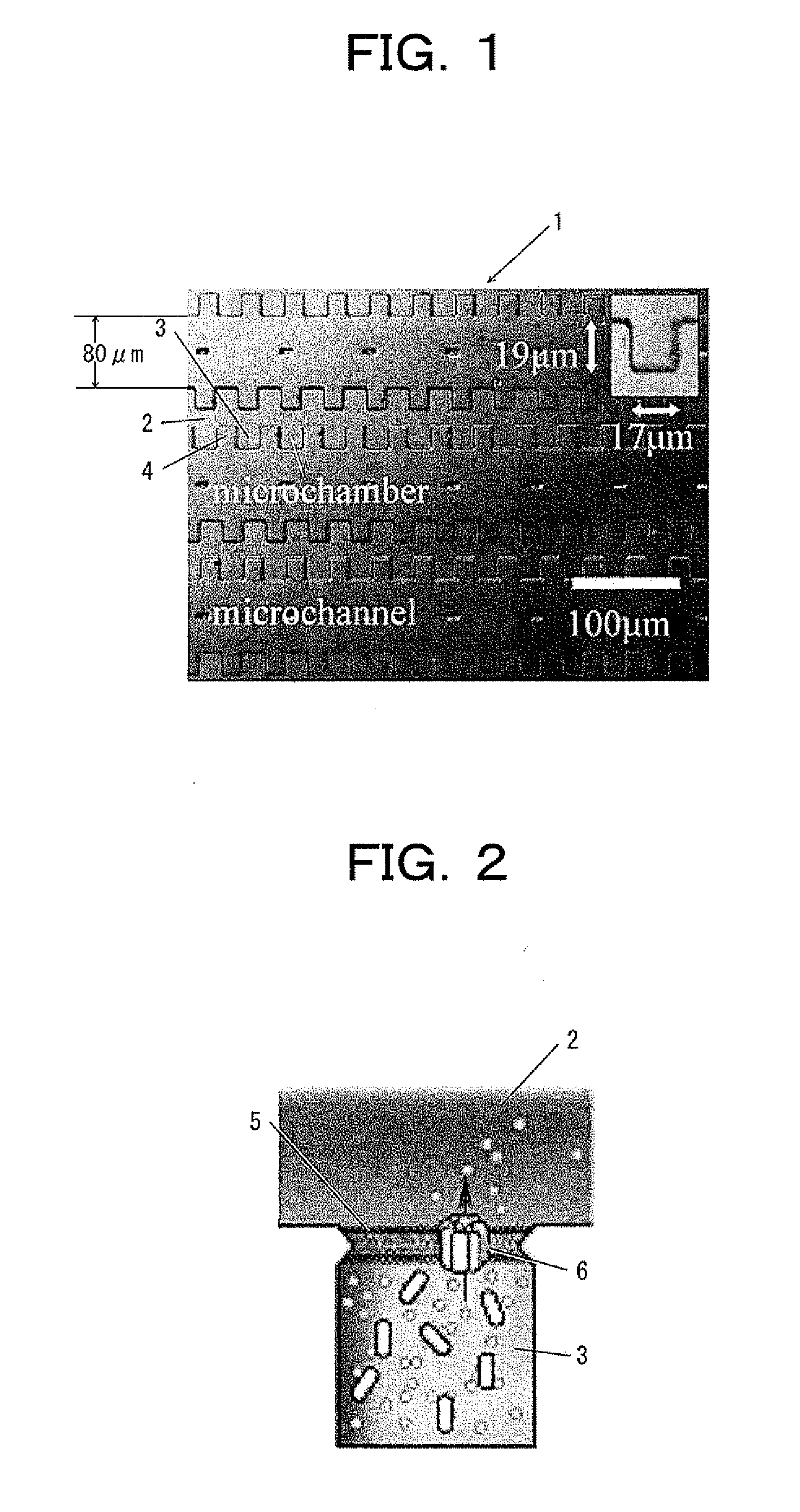 Planar lipid bilayer array formed by microfluidic technique and method of analysis using planar lipid bilayer