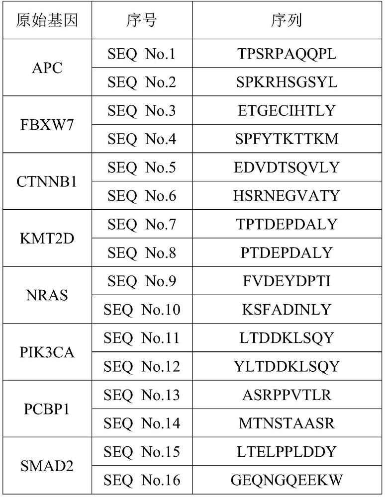 Antigen peptide related to colorectal cancer driver gene mutation and application thereof