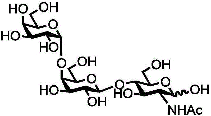 Human blood group antigen P1 pentasaccharide synthesis method