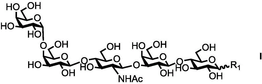 Human blood group antigen P1 pentasaccharide synthesis method