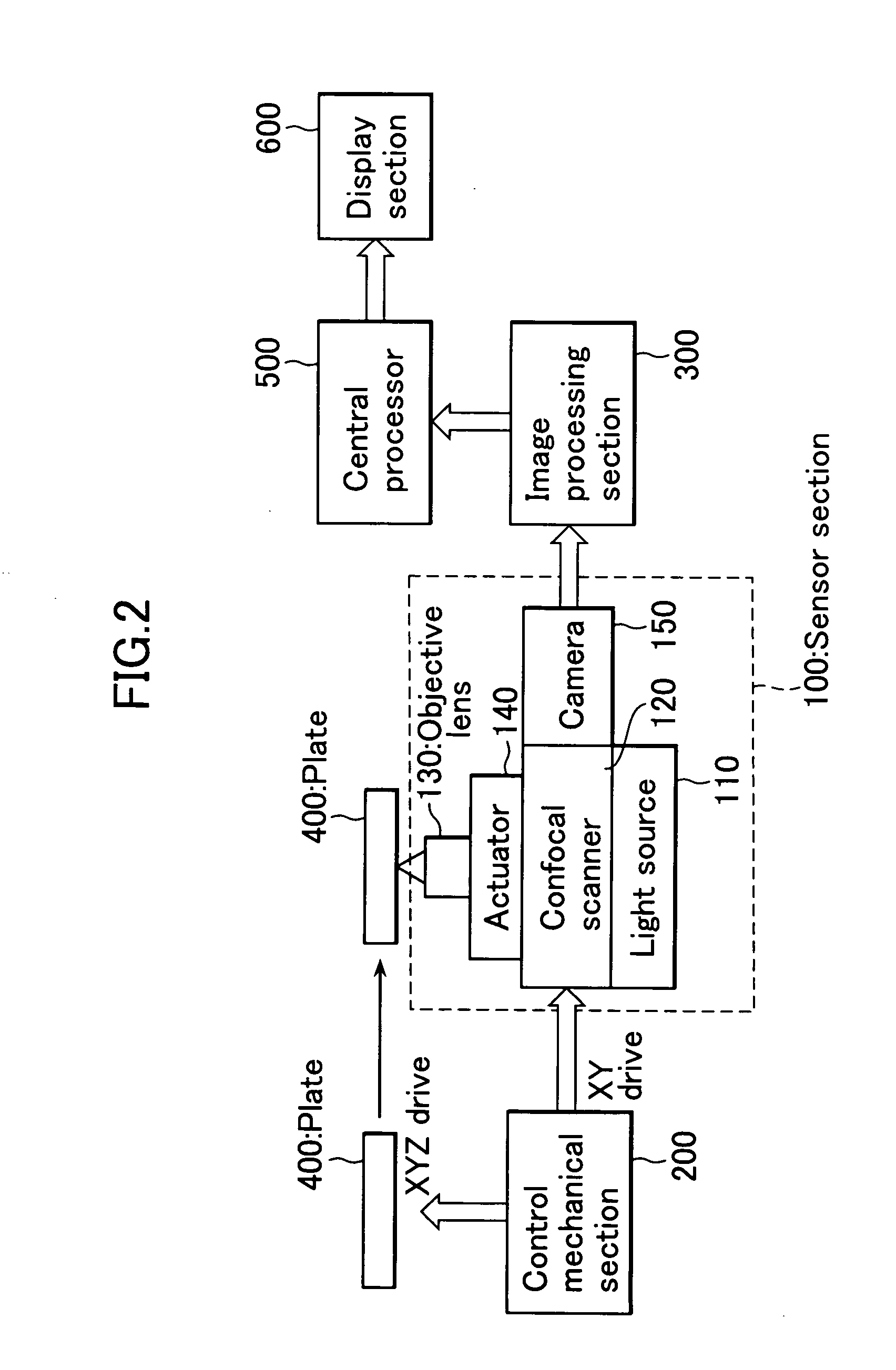 Screening method and device, and new drug screening method and device