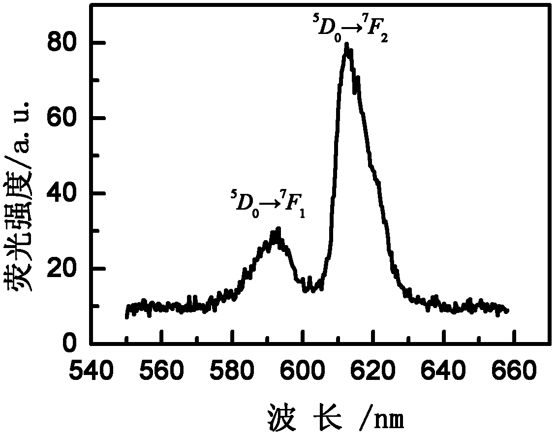 Rare earth doped oxyfluoride tellurite scintillation glass and preparation method thereof