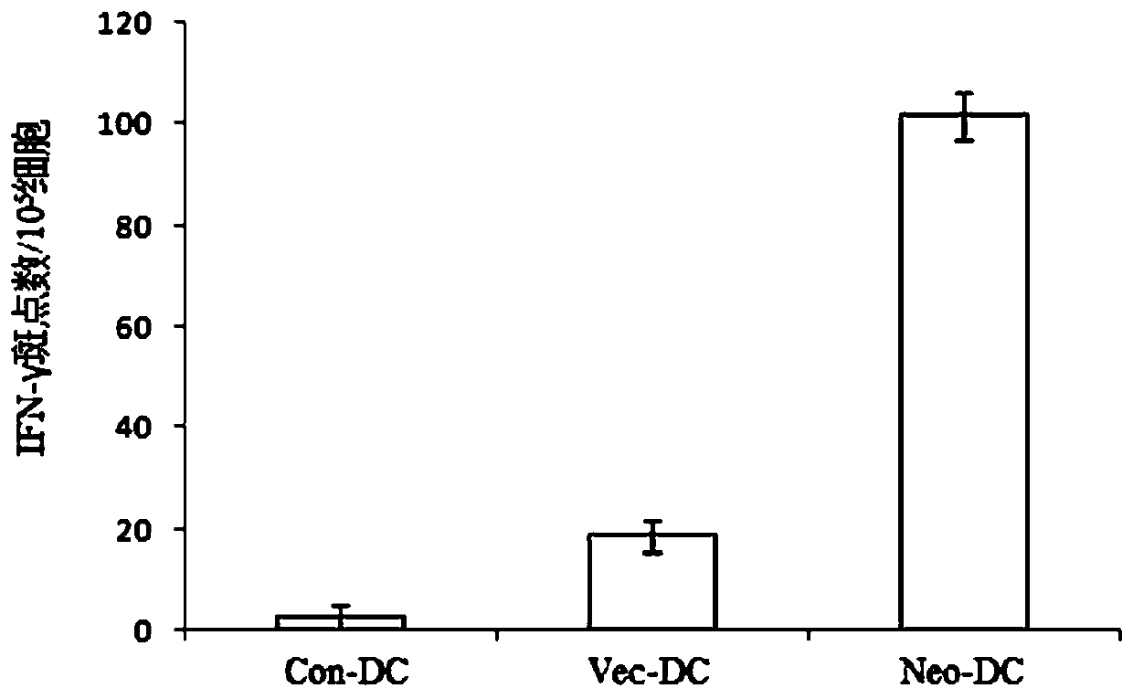 Preparation method of tumor vaccine and tumor vaccine prepared by using the method