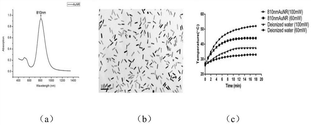 Combination of targeting PEG-modified gold nanorods coupled with alpcs4 and its preparation, application and anti-tumor composition