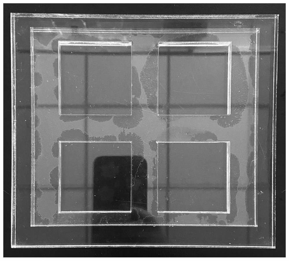 Room-temperature vulcanized silicone rubber graphene bionic antifouling composite material with bubble adsorption function