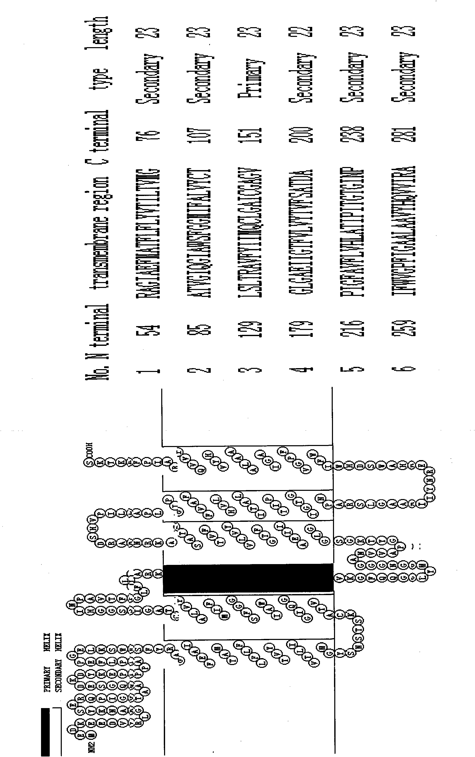 Leymus chinensis aquaporin and encoding gene and application thereof