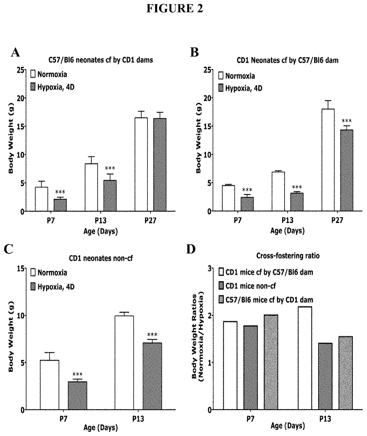 Treatment of neonatal hypoxia including impairments or effects thereof